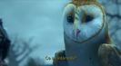 Trailer film Legend of the Guardians: The Owls of Ga'Hoole