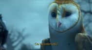 Trailer Legend of the Guardians: The Owls of Ga'Hoole