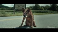 Trailer Pet Sematary: Bloodlines