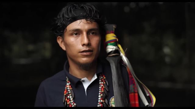 Trailer - Lost in the Jungle