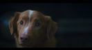Trailer film Good Boy