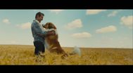 Trailer A Dog's Journey