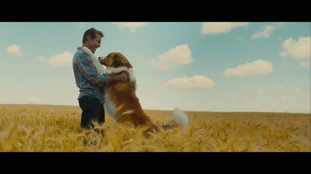 Trailer A Dog S Journey 2019 Cainele Adevăratul Meu Prieten 2