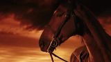 Trailer film - War Horse