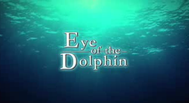 Trailer Eye of the Dolphin