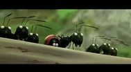 Trailer Minuscule - La vallée des fourmis perdues