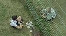 Trailer film The Boy in the Striped Pyjamas