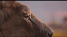Trailer film Mufasa: The Lion King