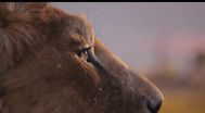 Trailer Mufasa: The Lion King