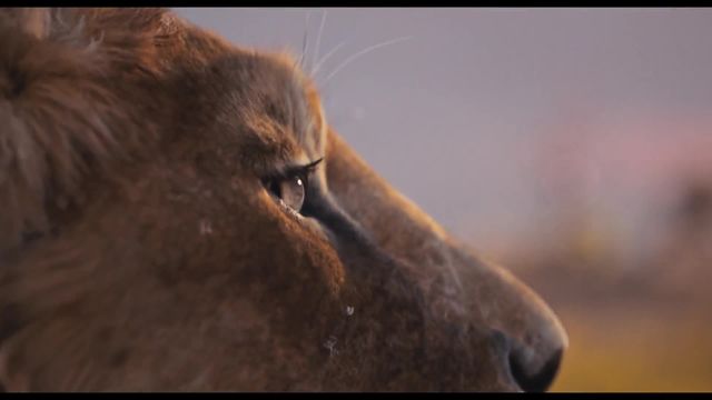 Trailer - Mufasa: The Lion King
