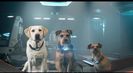 Trailer film Space Pups