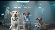 Trailer Space Pups