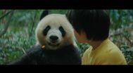 Trailer Moon the Panda
