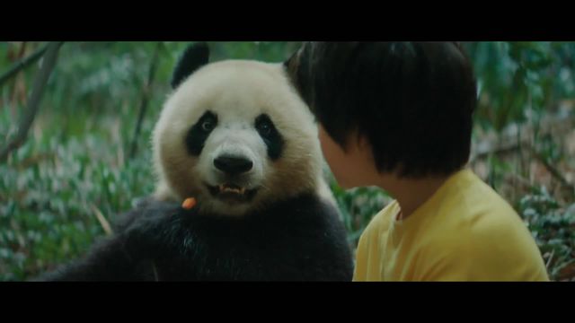 Trailer - Un panda pe nume Moon