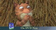 Trailer Room on the Broom