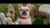 Trailer film - Dog Days