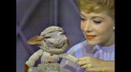 Trailer Shari & Lamb Chop