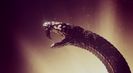 Trailer film The Hunger Games: Sunrise on the Reaping