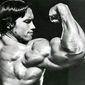 Arnold Schwarzenegger - poza 31