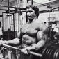Arnold Schwarzenegger - poza 24