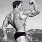 Arnold Schwarzenegger - poza 20