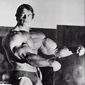 Arnold Schwarzenegger - poza 21