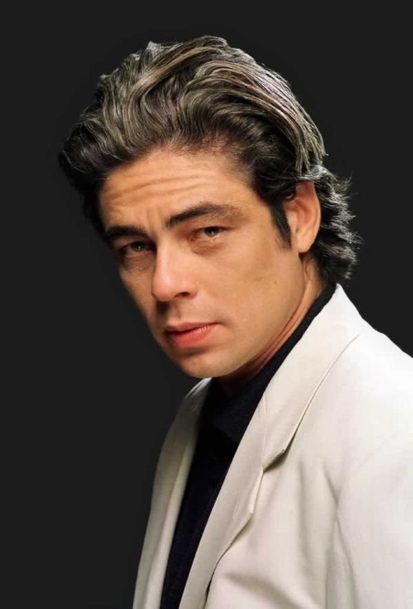 Benicio Del Toro brother