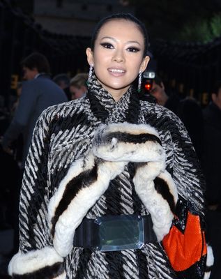 Ziyi Zhang - poza 9