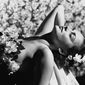 Olivia De Havilland - poza 10