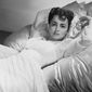 Olivia De Havilland - poza 106