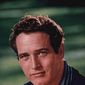 Paul Newman - poza 240