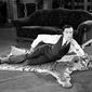 Buster Keaton - poza 157