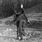 Buster Keaton - poza 131
