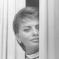 Sophia Loren - poza 74