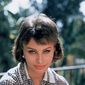 Sophia Loren - poza 82