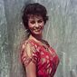 Sophia Loren - poza 88