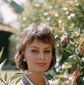 Sophia Loren - poza 109