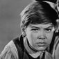 Bobby Driscoll