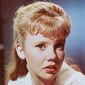 Hayley Mills - poza 92