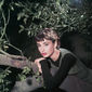 Audrey Hepburn - poza 123