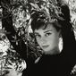 Audrey Hepburn - poza 228