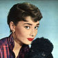 Audrey Hepburn - poza 31