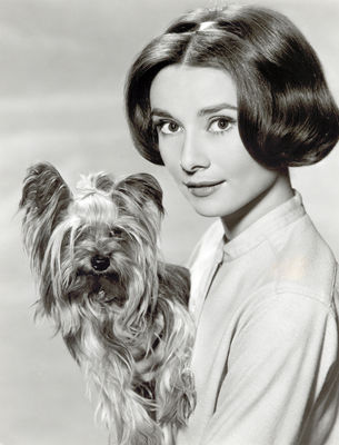 Audrey Hepburn - poza 195