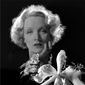 Marlene Dietrich - poza 50
