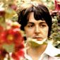 Paul McCartney - poza 27