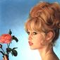 Brigitte Bardot - poza 65
