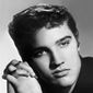 Elvis Presley - poza 35