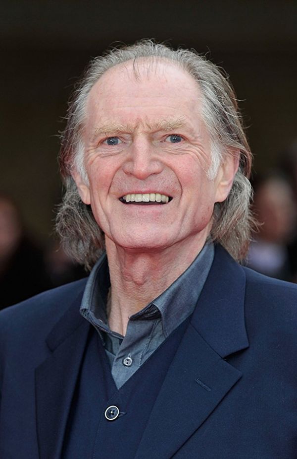 David Bradley Actor CineMagia.ro