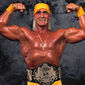 Hulk Hogan - poza 3