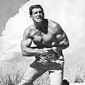 Brad Harris